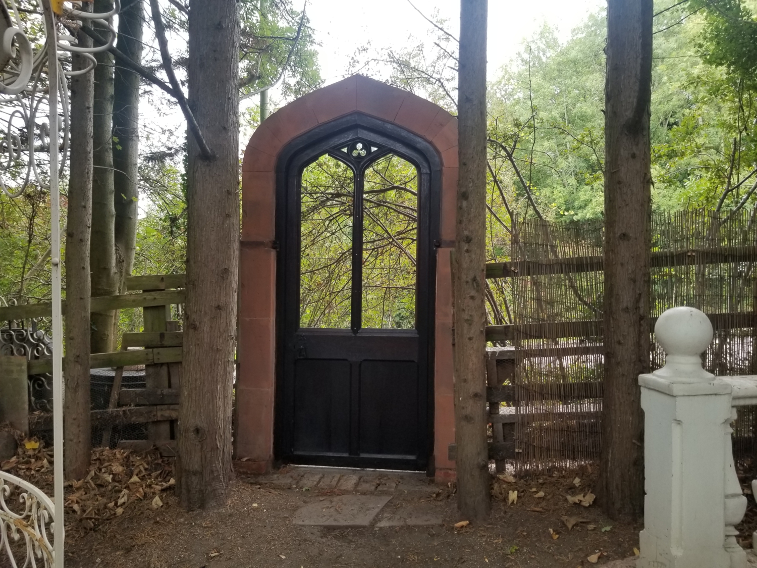 Episode 79 - Karl Friston's gardening project