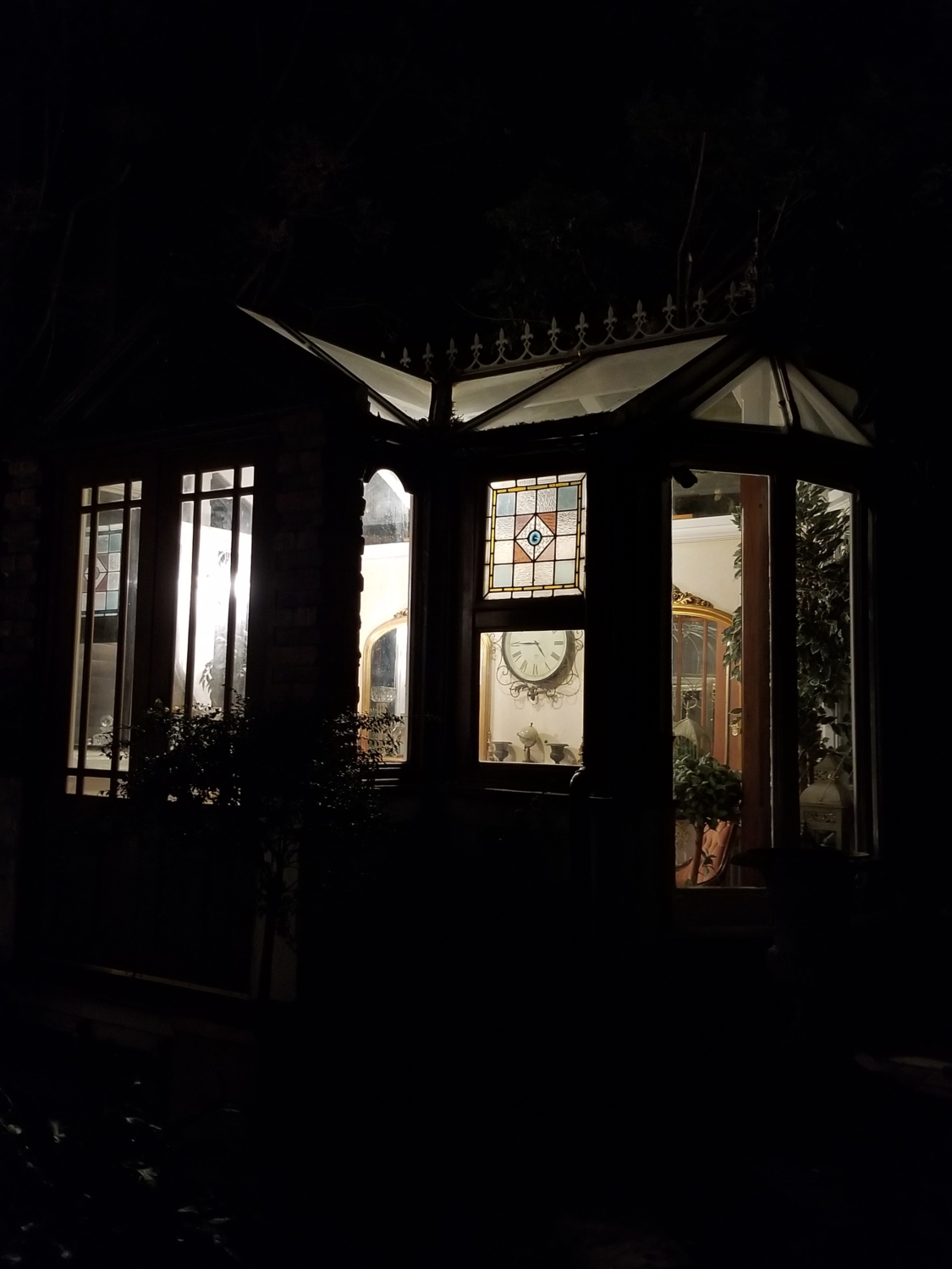 Episode 79 - Karl Friston's gardening project