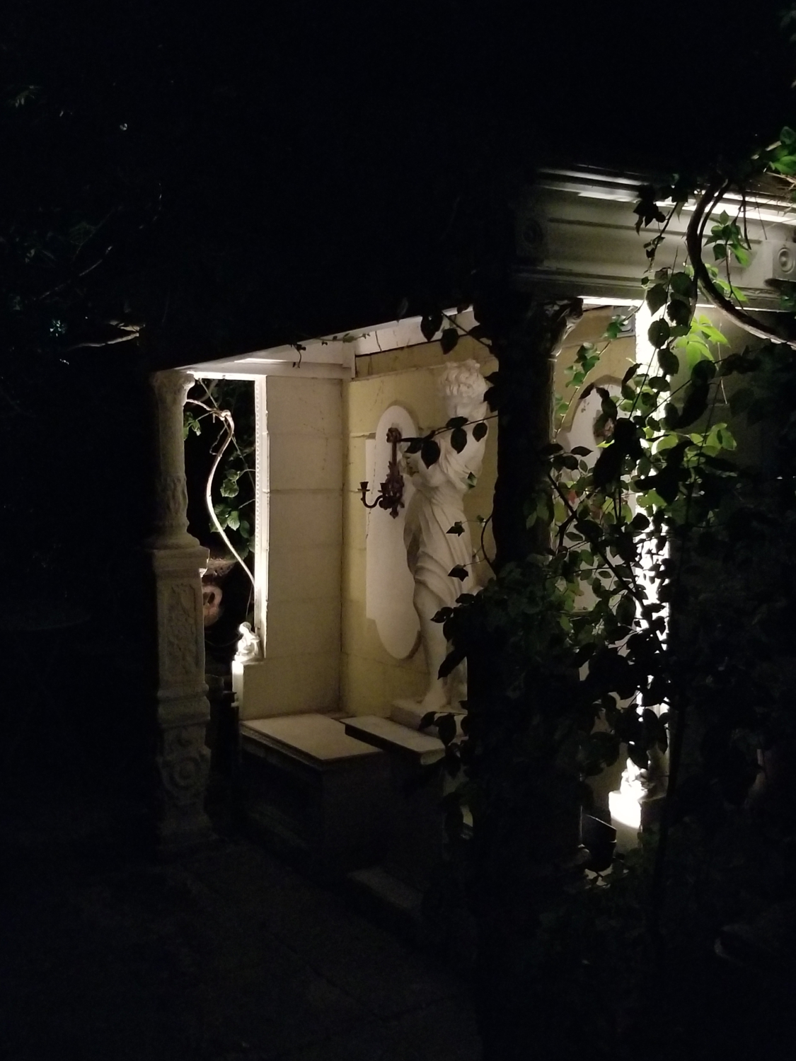 Episode 79 - Karl Friston's gardening project